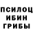 Псилоцибиновые грибы Magic Shrooms jesheca douglas