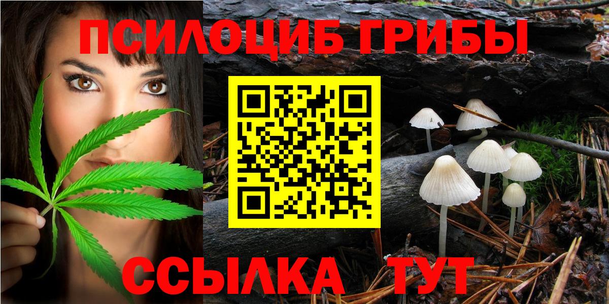 Псилоцибиновые грибы ЛСД  Псилоцибиновые грибы Cubensis  Георгиевск  Вход с VPN 