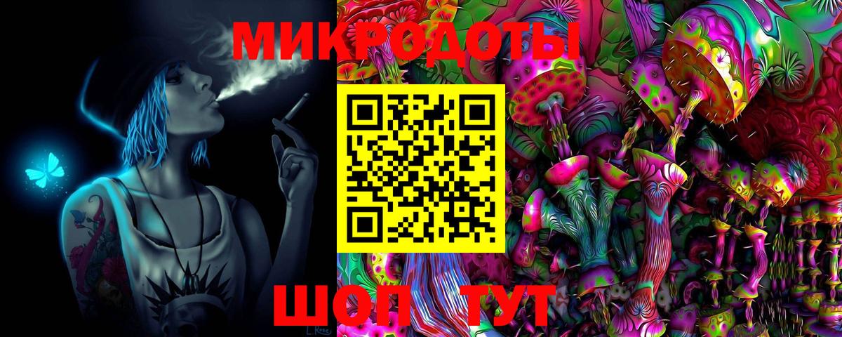 Псилоцибиновые грибы мицелий Георгиевск